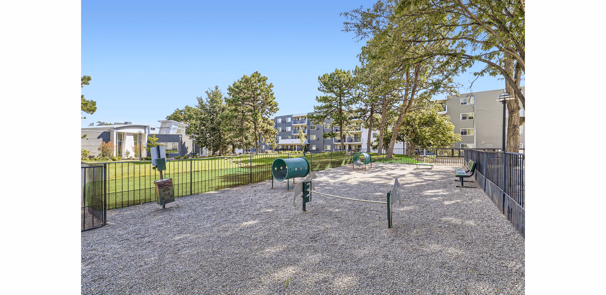 Image of a vibrant outdoor dog park at Avantus Apartments, ideal for pet-friendly living with green spaces and play areas for residents' furry companions