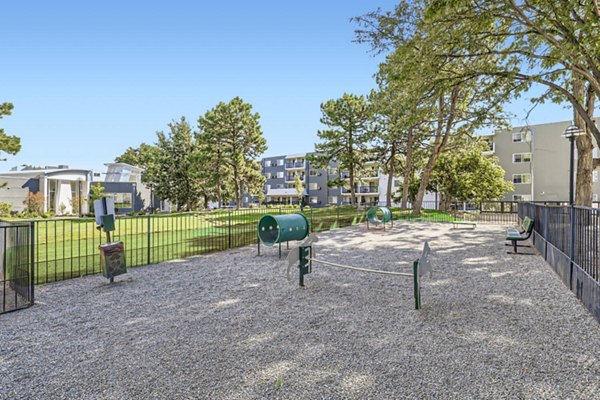Image of a vibrant outdoor dog park at Avantus Apartments, ideal for pet-friendly living with green spaces and play areas for residents' furry companions