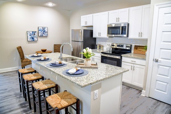Modern kitchen with stainless steel appliances in Windsor at Manhattan Apartments