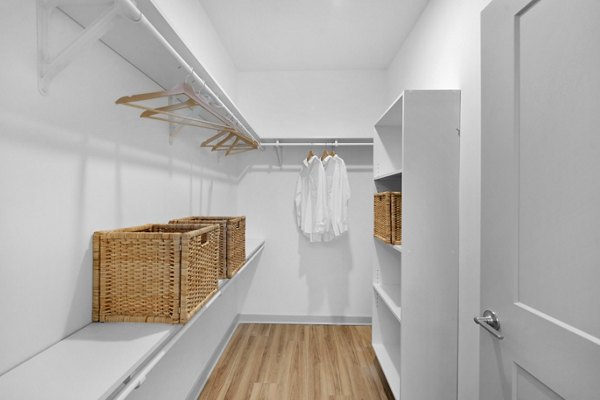 Walk-in closet with ample storage space in Alexan Research Park Apartments