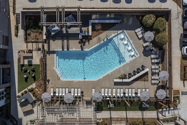 Outdoor pool with lounge chairs at Alexan Research Park Apartments offering luxury amenities