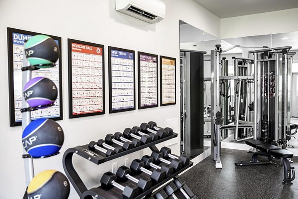 State-of-the-art fitness center with modern equipment at The Farmstead Apartments