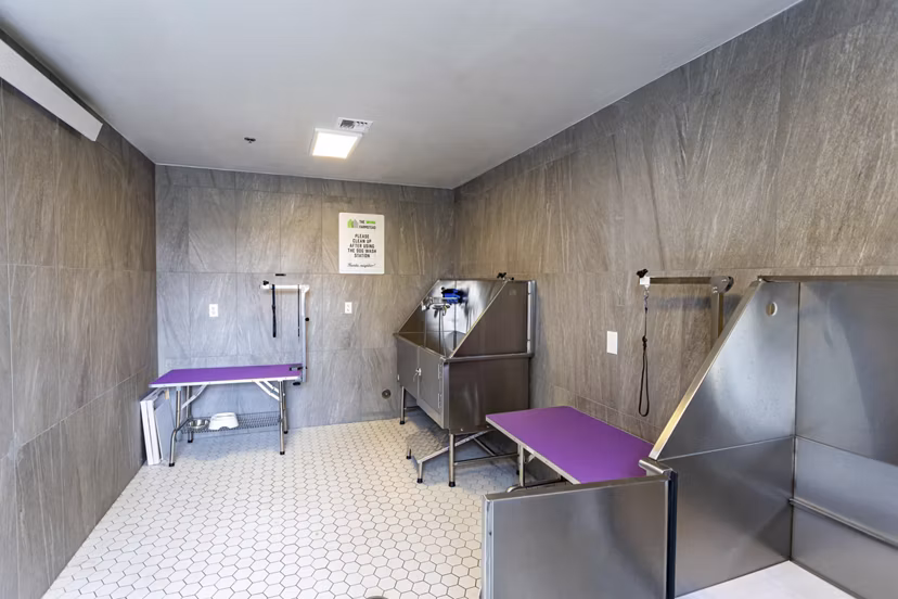 Dog wash station with grooming amenities at The Farmstead Apartments, ideal for pet owners seeking convenience in luxury living