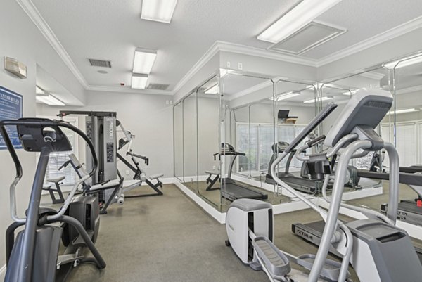 Well-equipped fitness center at The Vinings at Duncan Chapel Apartments, featuring modern exercise machines and spacious workout area
