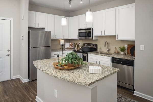 kitchen at Avanti Brookhaven Apartments