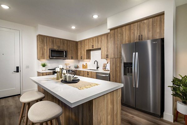 Modern kitchen with stainless steel appliances at Triton Encinitas Apartments