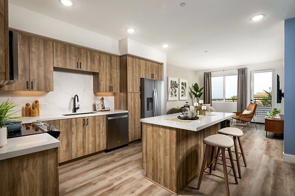 Modern kitchen with stainless steel appliances and granite countertops at Triton Encinitas Apartments, luxury living in California
