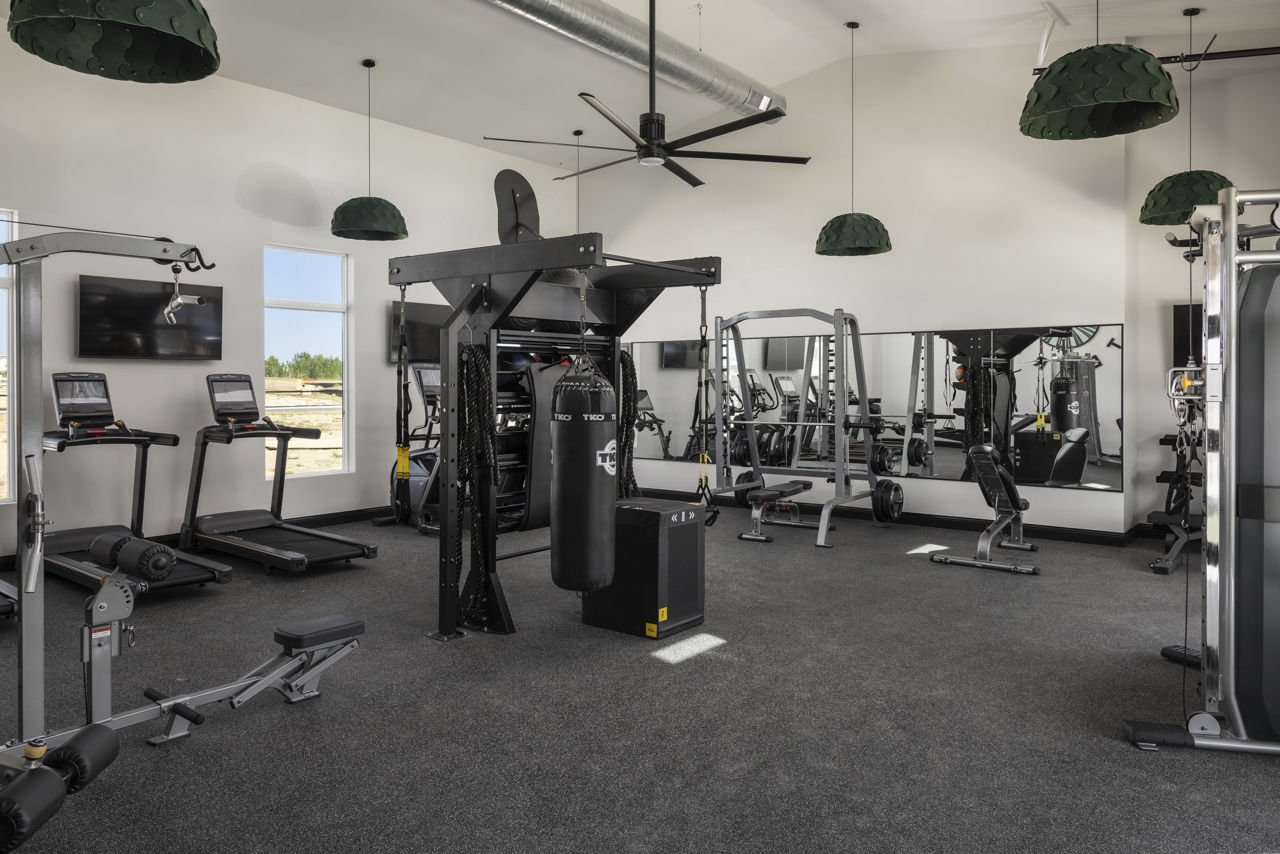 Gym at Vellaterra (1 of 3)