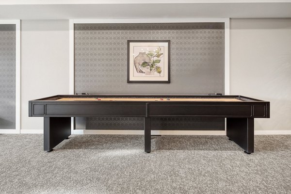 Contemporary game room with pool table and seating at Arasan Apartments