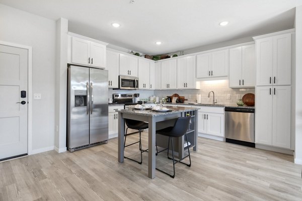 Modern kitchen with sleek countertops and stainless steel appliances in Arasan Apartments
