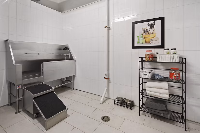 Dog wash station with modern facilities at Arasan Apartments, perfect for pet-friendly living