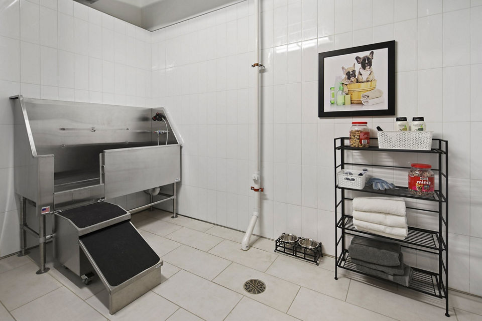 Dog wash station with modern facilities at Arasan Apartments, perfect for pet-friendly living