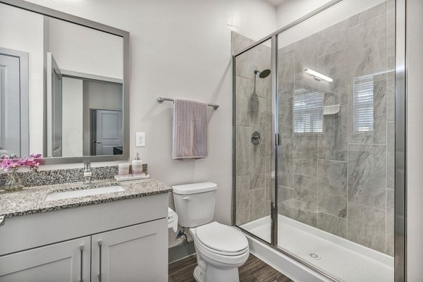 bathroom at Preserve at Highway 6 Apartments