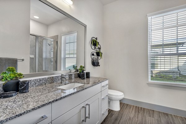 bathroom at Preserve at Highway 6 Apartments