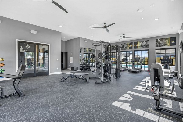 fitness center at Preserve at Highway 6 Apartments