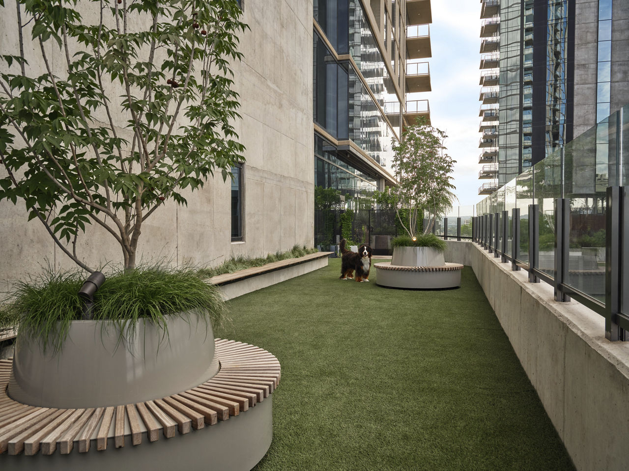Dog park at 700 River
