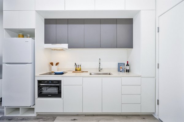 Modern kitchen with stainless steel appliances and granite countertops at 2911 Adams Apartments, luxury living by Greystar