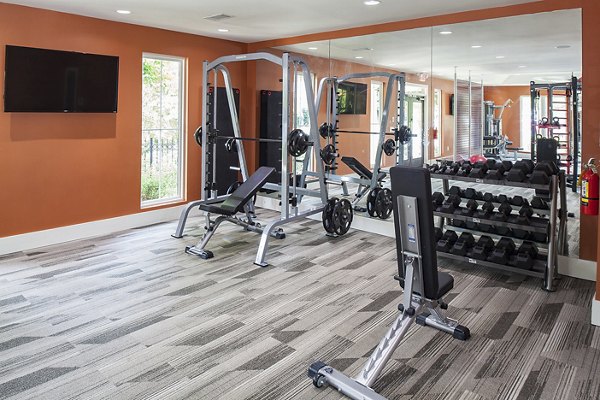 Modern fitness center with state-of-the-art equipment at Avana Portico Apartments, ideal for luxury healthy living