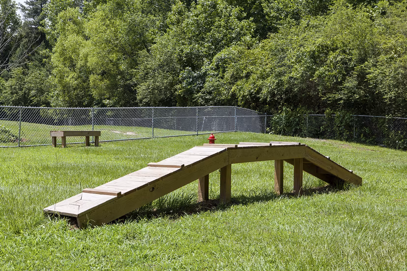 Dog-friendly park with agility equipment at Avana Portico Apartments