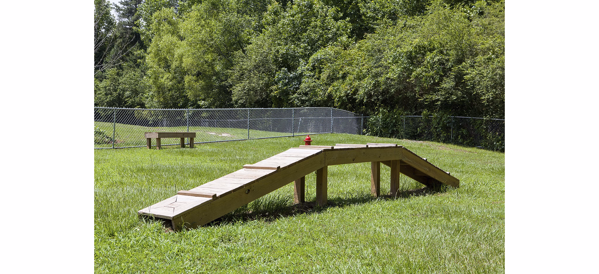 Dog-friendly park with agility equipment at Avana Portico Apartments