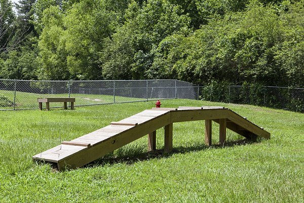 Dog-friendly park with agility equipment at Avana Portico Apartments