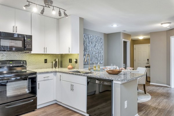 Modern kitchen with stainless steel appliances and granite countertops at Avana Matthews Apartments
