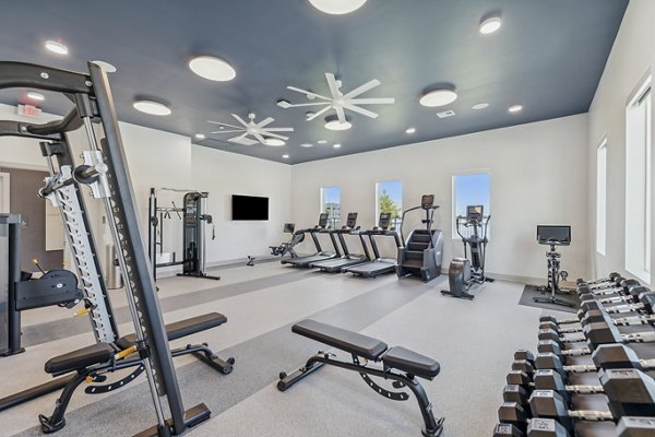 State-of-the-art fitness center with modern equipment at Alta Grandway Apartments