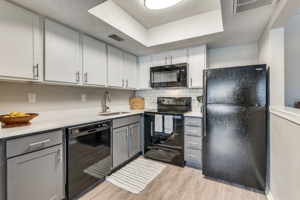 Modern kitchen with sleek appliances and granite countertops in Wood Hollow Apartments