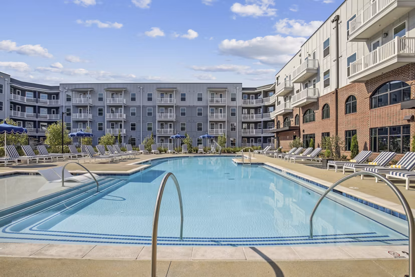 Modern outdoor pool surrounded by palm trees at The Lacy at South Main Apartments