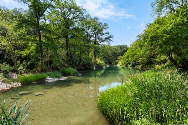 neighborhood at Cadena at the Falls Apartments