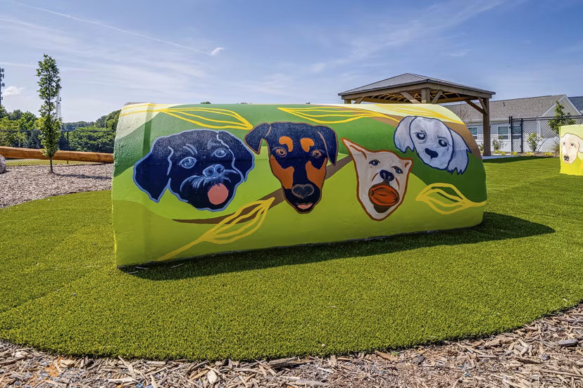dog park at Yardly Monroe Apartments 