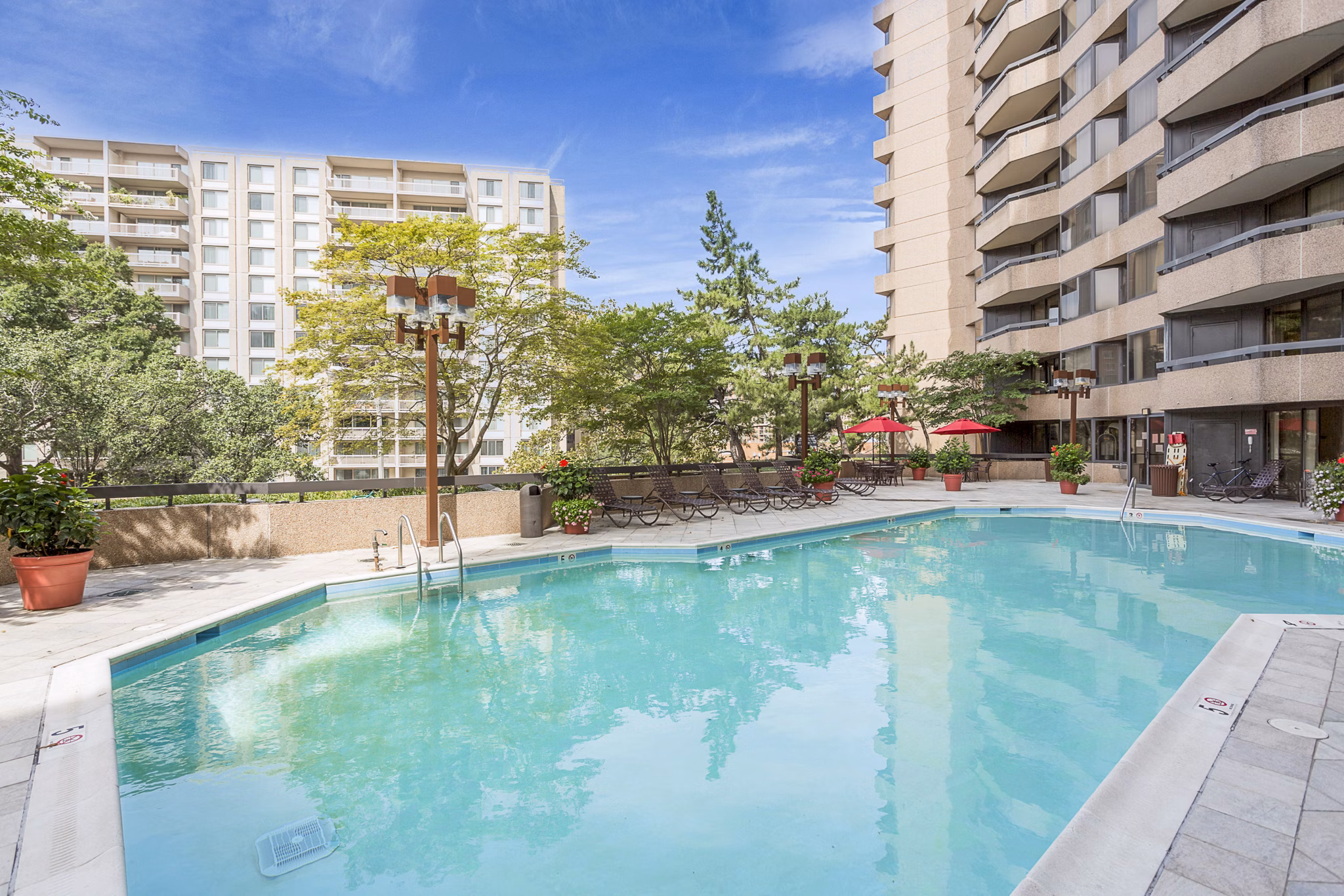Luxury pool with sleek design at Marlowe Apartments, offering relaxation and recreation near downtown Seattle