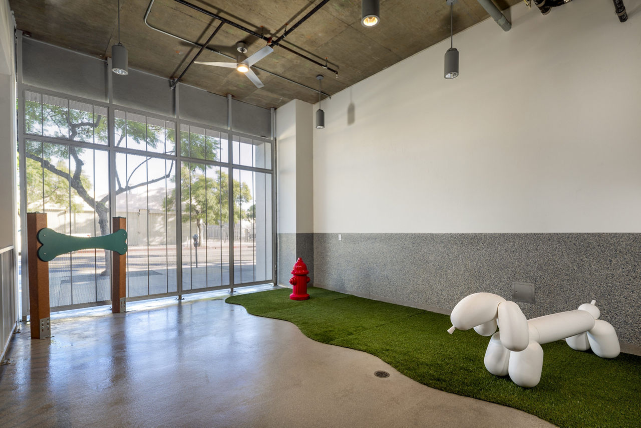 Dog park at The Eden