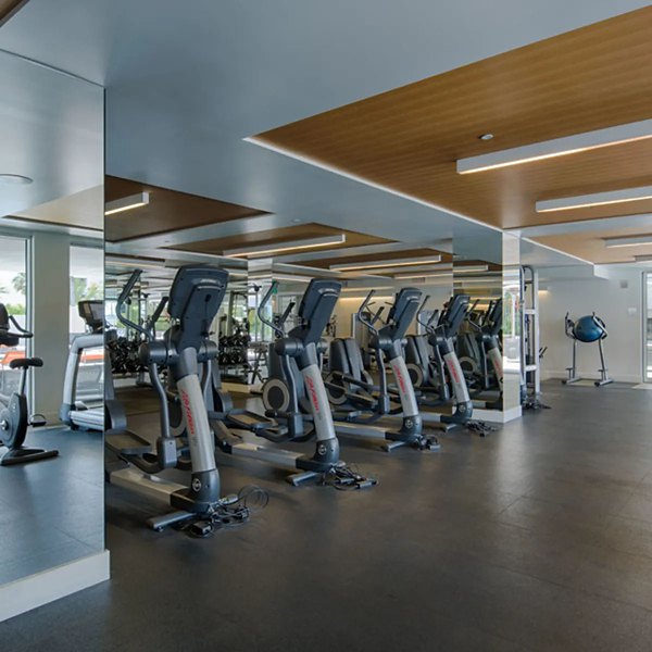 fitness center at Stella Apartments