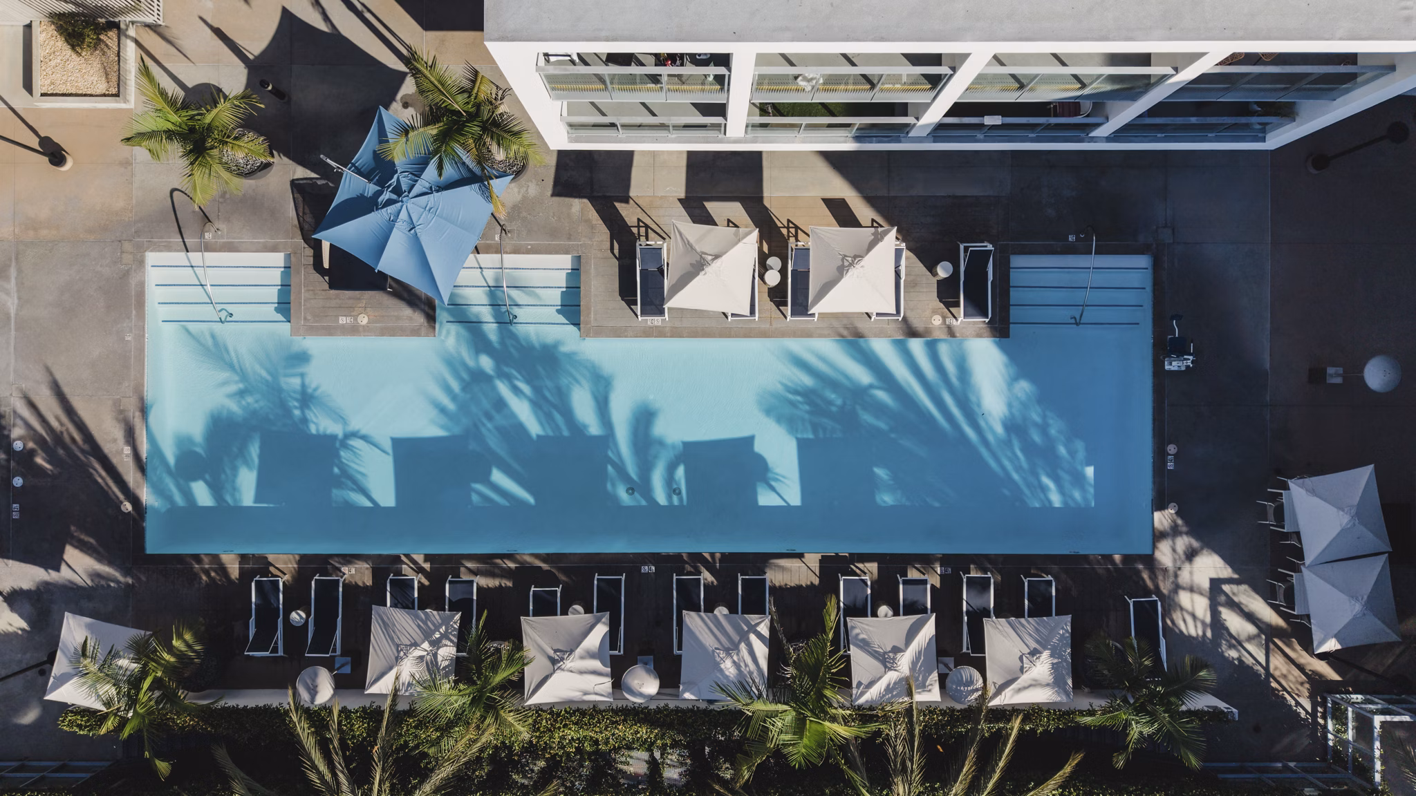 pool at Stella Apartments