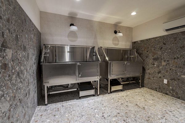 dog wash station at Encore Echo Apartments 