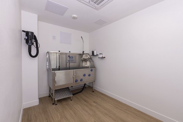Convenient dog wash station at Element 12 at Cadence Apartments