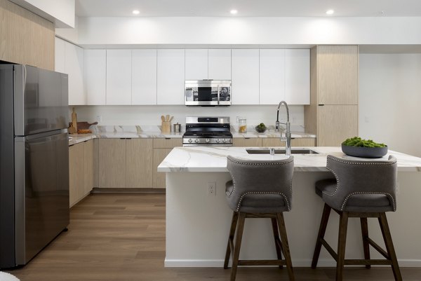 kitchen at The Charlie Perris Apartments