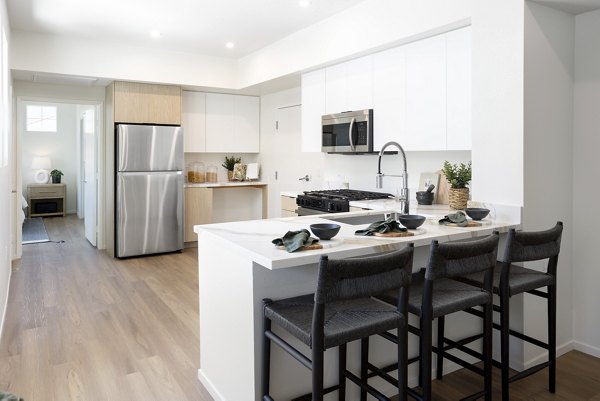 kitchen at The Charlie Perris Apartments