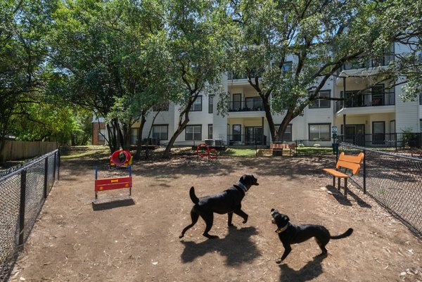 Dog park with agility equipment at The Jax Apartments, a pet-friendly community offering outdoor spaces for luxury city living