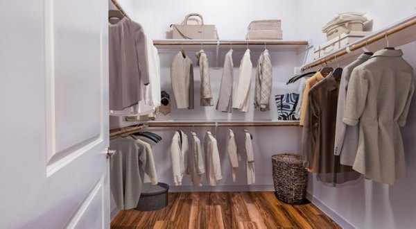 closet at Prose Greenbriar Apartments