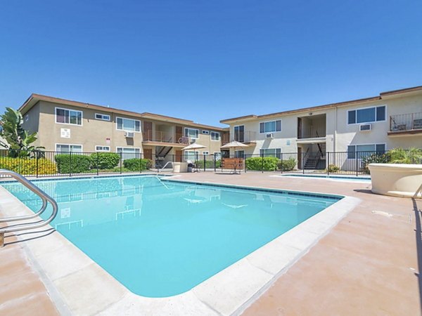 Resort-style pool at Citrus Court Apartments with lush landscaping and sun loungers, offering luxury living experience
