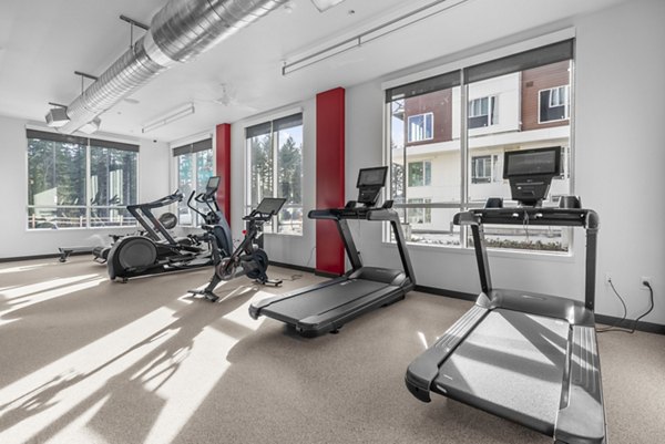 fitness center at Arcadia by Alta Apartments