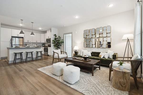 living room at The Isley at Windsor Hill Apartments 