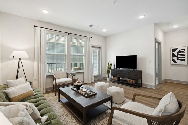 living room at The Isley at Windsor Hill Apartments 