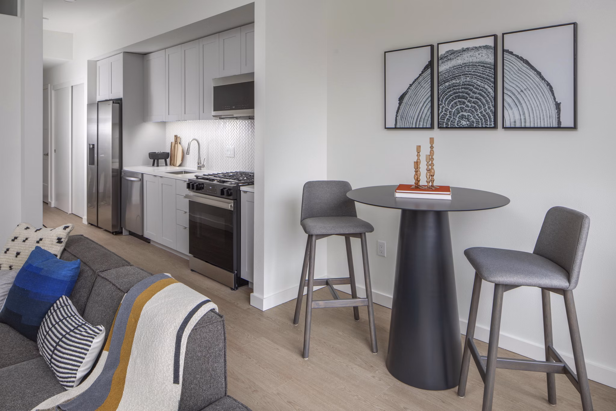 living room at Willow Apartments