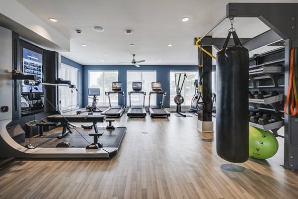 State-of-the-art fitness center with modern equipment at The District Apartments in Little Elm