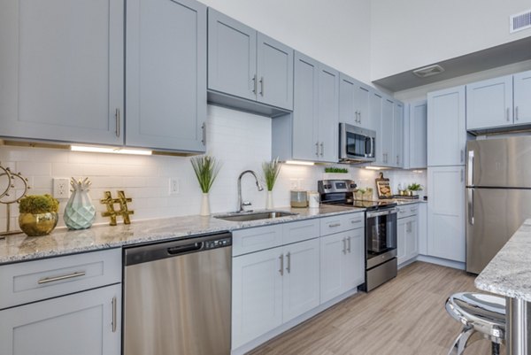 Modern kitchen with stainless steel appliances and island at The District in Little Elm Apartments
