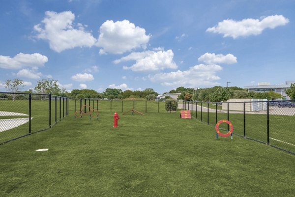 Dog park with agility equipment at The District in Little Elm Apartments