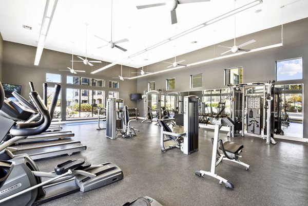 fitness center at Agora Stone Oak Apartments